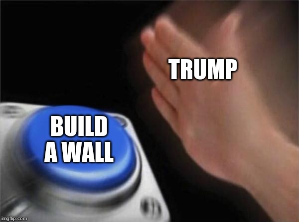 Blank Nut Button Meme | TRUMP; BUILD A WALL | image tagged in memes,blank nut button | made w/ Imgflip meme maker