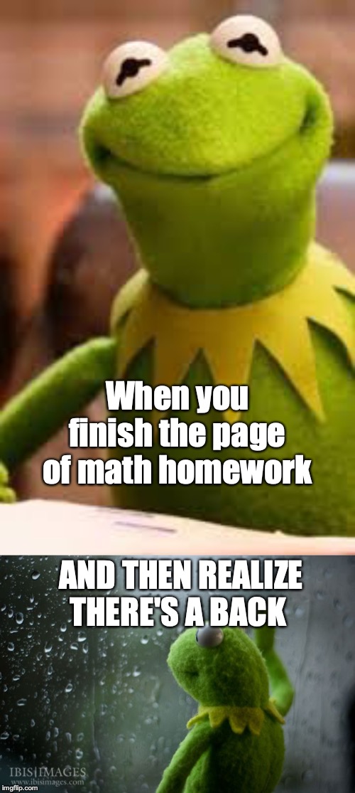 When you finish the page of math homework; AND THEN REALIZE THERE'S A BACK | image tagged in kermit window | made w/ Imgflip meme maker