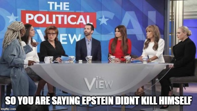view | SO YOU ARE SAYING EPSTEIN DIDNT KILL HIMSELF | image tagged in view | made w/ Imgflip meme maker