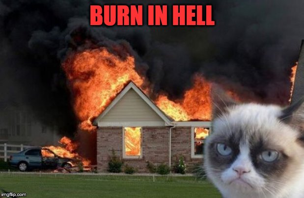 Burn Kitty Meme | BURN IN HELL | image tagged in memes,burn kitty,grumpy cat | made w/ Imgflip meme maker