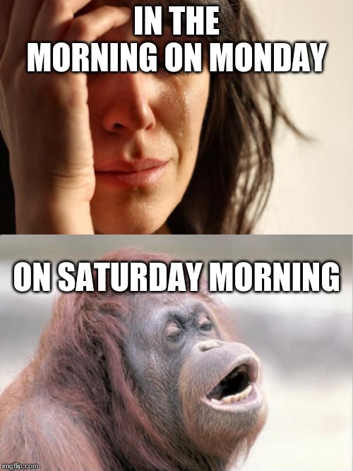 IN THE MORNING ON MONDAY; ON SATURDAY MORNING | image tagged in memes,first world problems,monkey ooh | made w/ Imgflip meme maker