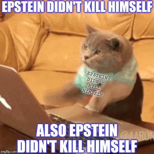 fast typing cat | EPSTEIN DIDN'T KILL HIMSELF ALSO EPSTEIN DIDN'T KILL HIMSELF EPSTEIN DIDN'T KILL HIMSELF | image tagged in fast typing cat | made w/ Imgflip meme maker