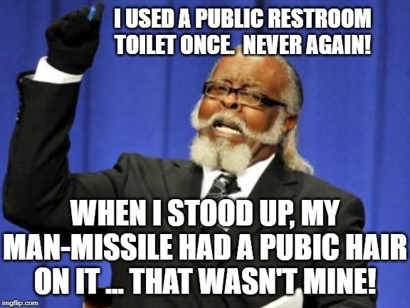 Too Damn High Meme | I USED A PUBLIC RESTROOM TOILET ONCE.  NEVER AGAIN! WHEN I STOOD UP, MY MAN-MISSILE HAD A PUBIC HAIR ON IT ... THAT WASN'T MINE! | image tagged in memes,too damn high | made w/ Imgflip meme maker