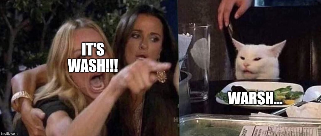woman yelling at cat | WARSH... IT'S WASH!!! | image tagged in woman yelling at cat | made w/ Imgflip meme maker