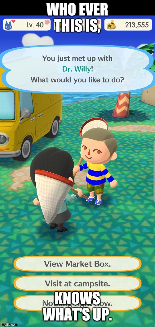 Met this person in animal crossing pocket camp yesterday...... | WHO EVER THIS IS, KNOWS WHAT'S UP. | image tagged in drwillly,animal crossing | made w/ Imgflip meme maker