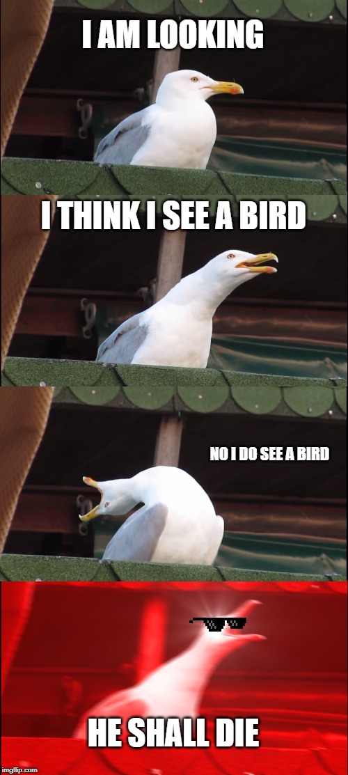 Inhaling Seagull Meme | I AM LOOKING; I THINK I SEE A BIRD; NO I DO SEE A BIRD; HE SHALL DIE | image tagged in memes,inhaling seagull | made w/ Imgflip meme maker