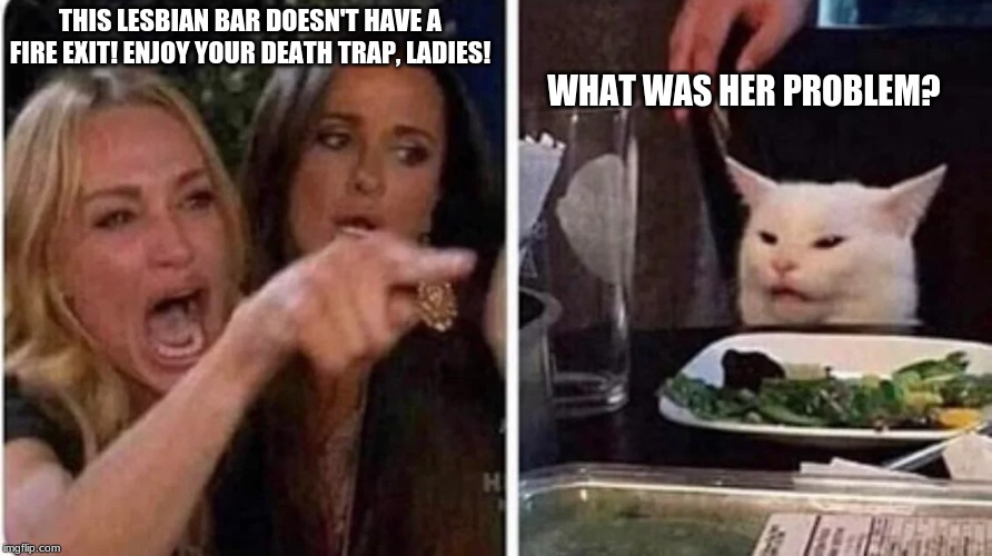 Confused Cat at Dinner | THIS LESBIAN BAR DOESN'T HAVE A FIRE EXIT! ENJOY YOUR DEATH TRAP, LADIES! WHAT WAS HER PROBLEM? | image tagged in confused cat at dinner | made w/ Imgflip meme maker