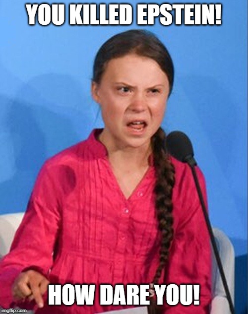 Greta Thunberg how dare you | YOU KILLED EPSTEIN! HOW DARE YOU! | image tagged in greta thunberg how dare you | made w/ Imgflip meme maker