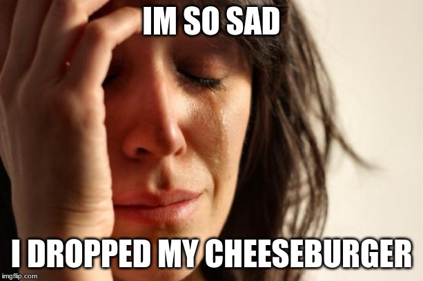 First World Problems | IM SO SAD; I DROPPED MY CHEESEBURGER | image tagged in memes,first world problems | made w/ Imgflip meme maker