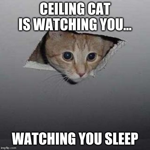 Ceiling Cat | CEILING CAT IS WATCHING YOU... WATCHING YOU SLEEP | image tagged in memes,ceiling cat | made w/ Imgflip meme maker