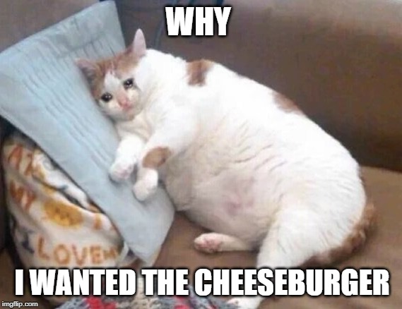 Fat Cat Crying | WHY; I WANTED THE CHEESEBURGER | image tagged in fat cat crying | made w/ Imgflip meme maker