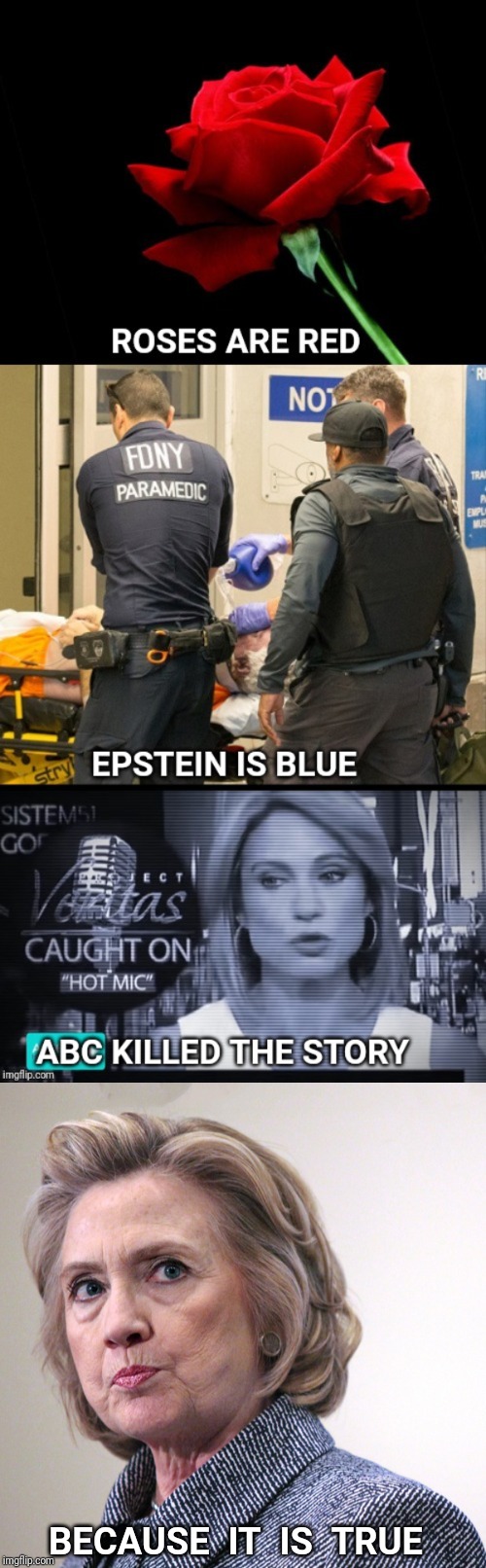 BECAUSE  IT  IS  TRUE | image tagged in roses are red,jeffrey epstein,hillary clinton,bill clinton,abc | made w/ Imgflip meme maker