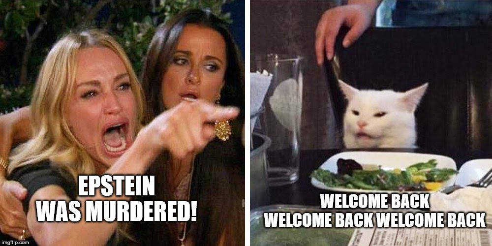 Smudge the cat | WELCOME BACK WELCOME BACK WELCOME BACK; EPSTEIN WAS MURDERED! | image tagged in smudge the cat | made w/ Imgflip meme maker