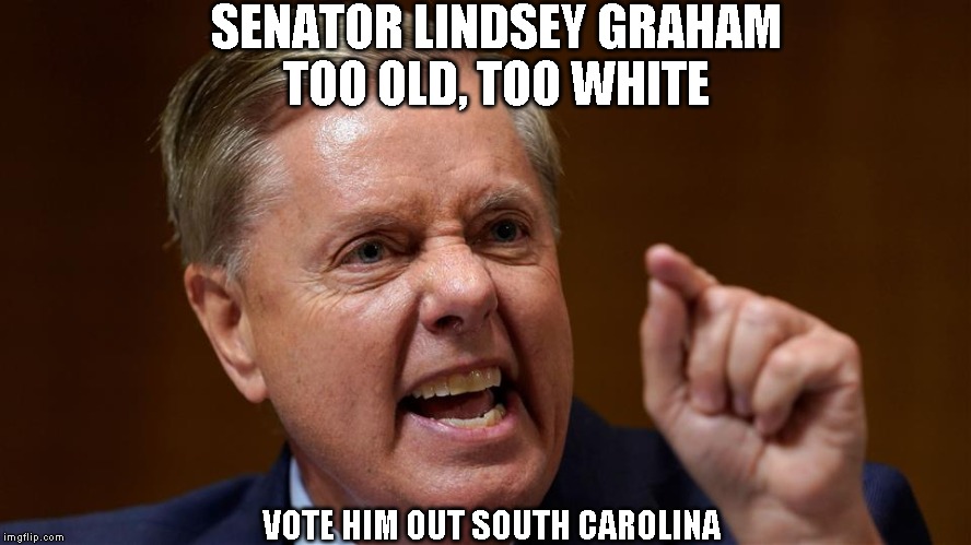 SENATOR LINDSEY GRAHAM
TOO OLD, TOO WHITE; VOTE HIM OUT SOUTH CAROLINA | made w/ Imgflip meme maker