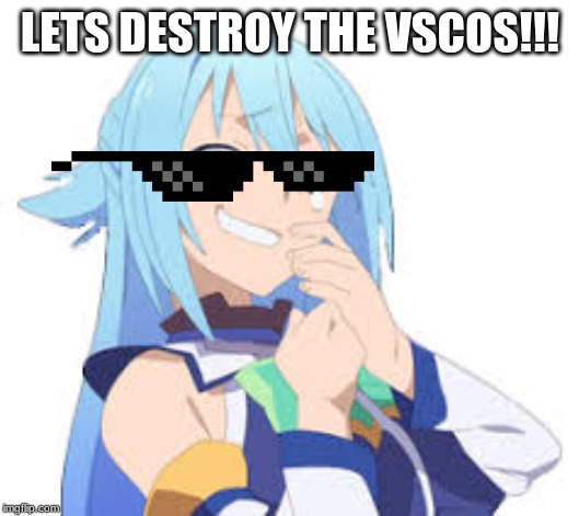 LETS DESTROY THE VSCOS!!! | made w/ Imgflip meme maker