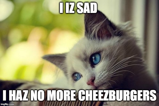 First World Problems Cat | I IZ SAD; I HAZ NO MORE CHEEZBURGERS | image tagged in memes,first world problems cat | made w/ Imgflip meme maker