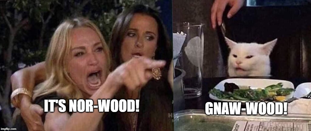 Norwood | GNAW-WOOD! IT'S NOR-WOOD! | image tagged in woman yelling at cat | made w/ Imgflip meme maker