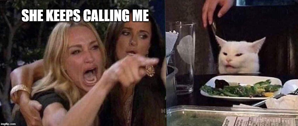 woman yelling at cat | SHE KEEPS CALLING ME | image tagged in woman yelling at cat | made w/ Imgflip meme maker