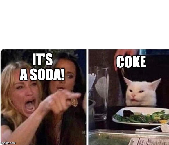 Lady screams at cat | COKE; IT’S A SODA! | image tagged in lady screams at cat | made w/ Imgflip meme maker