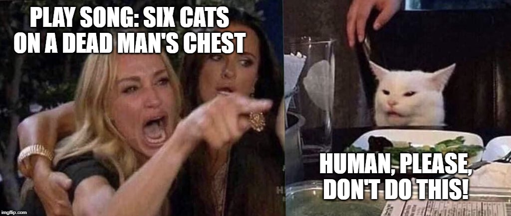 woman yelling at cat | PLAY SONG: SIX CATS ON A DEAD MAN'S CHEST; HUMAN, PLEASE, DON'T DO THIS! | image tagged in woman yelling at cat | made w/ Imgflip meme maker