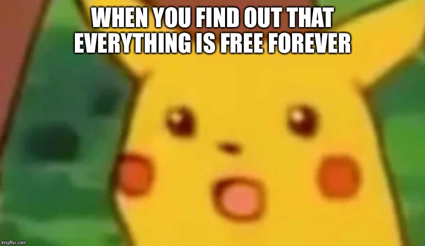 WHEN YOU FIND OUT THAT EVERYTHING IS FREE FOREVER | image tagged in pikachu,rights we must have | made w/ Imgflip meme maker