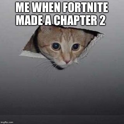 Ceiling Cat Meme | ME WHEN FORTNITE MADE A CHAPTER 2 | image tagged in memes,ceiling cat | made w/ Imgflip meme maker
