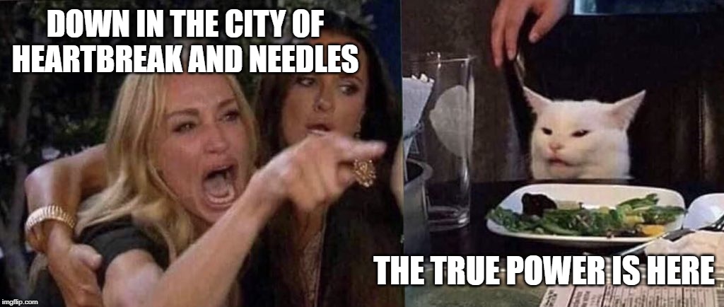 woman yelling at cat | DOWN IN THE CITY OF HEARTBREAK AND NEEDLES; THE TRUE POWER IS HERE | image tagged in woman yelling at cat | made w/ Imgflip meme maker