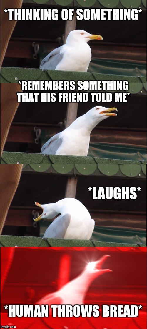 Inhaling Seagull Meme | *THINKING OF SOMETHING*; *REMEMBERS SOMETHING THAT HIS FRIEND TOLD ME*; *LAUGHS*; *HUMAN THROWS BREAD* | image tagged in memes,inhaling seagull | made w/ Imgflip meme maker
