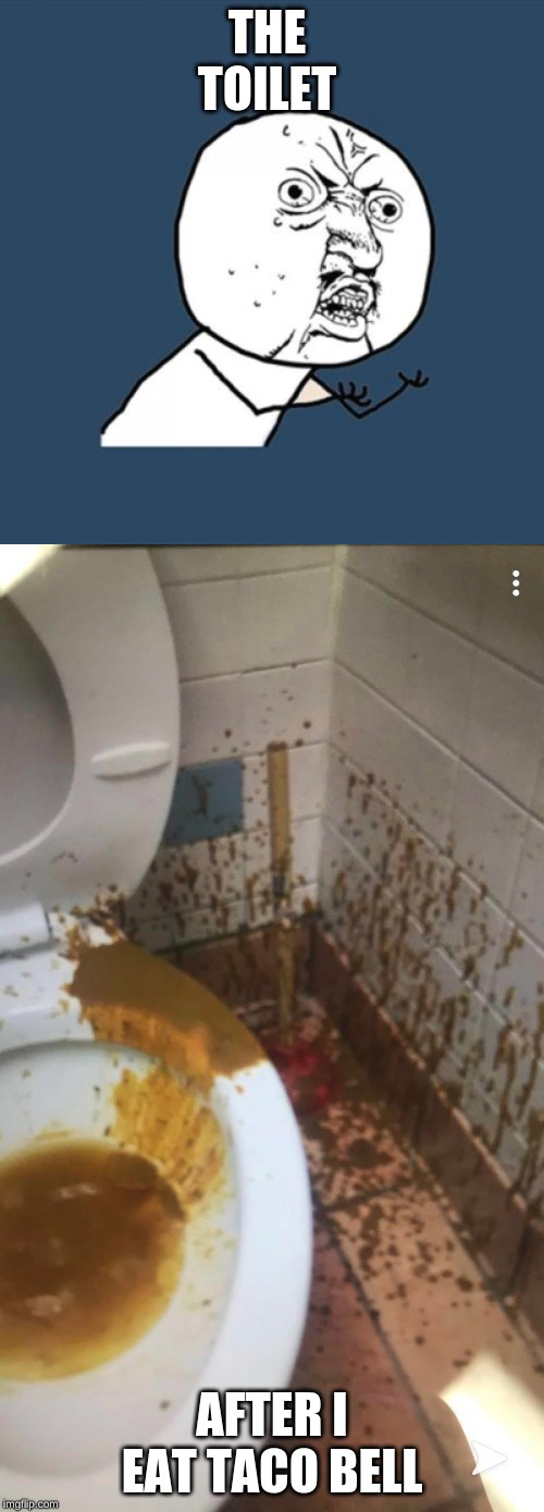 THE  TOILET; AFTER I EAT TACO BELL | image tagged in memes,y u no | made w/ Imgflip meme maker