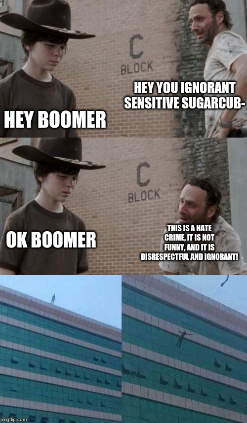 HEY YOU IGNORANT SENSITIVE SUGARCUB-; HEY BOOMER; THIS IS A HATE CRIME, IT IS NOT FUNNY, AND IT IS DISRESPECTFUL AND IGNORANT! OK BOOMER | image tagged in memes,rick and carl | made w/ Imgflip meme maker
