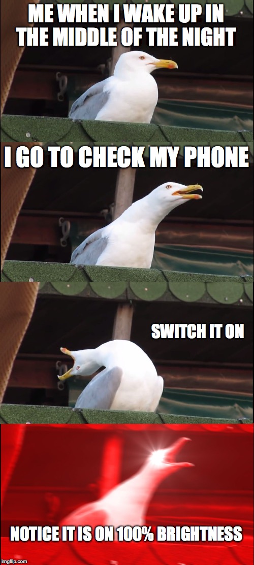 Inhaling Seagull | ME WHEN I WAKE UP IN THE MIDDLE OF THE NIGHT; I GO TO CHECK MY PHONE; SWITCH IT ON; NOTICE IT IS ON 100% BRIGHTNESS | image tagged in memes,inhaling seagull | made w/ Imgflip meme maker