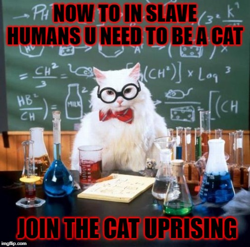 Chemistry Cat Meme | NOW TO IN SLAVE HUMANS U NEED TO BE A CAT; JOIN THE CAT UPRISING | image tagged in memes,chemistry cat | made w/ Imgflip meme maker