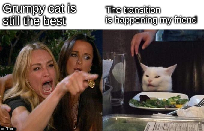 Woman Yelling At Cat Meme | Grumpy cat is still the best The transition is happening my friend | image tagged in memes,woman yelling at cat | made w/ Imgflip meme maker