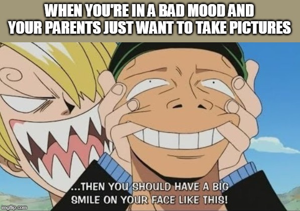 One Piece Smile | WHEN YOU'RE IN A BAD MOOD AND YOUR PARENTS JUST WANT TO TAKE PICTURES | image tagged in one piece smile | made w/ Imgflip meme maker