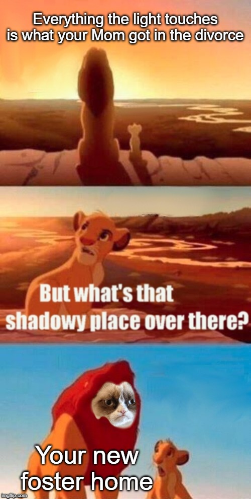 Grumpy Cat Shadowy Place | Everything the light touches is what your Mom got in the divorce; Your new foster home | image tagged in memes,simba shadowy place,cats,divorce,grumpy cat | made w/ Imgflip meme maker