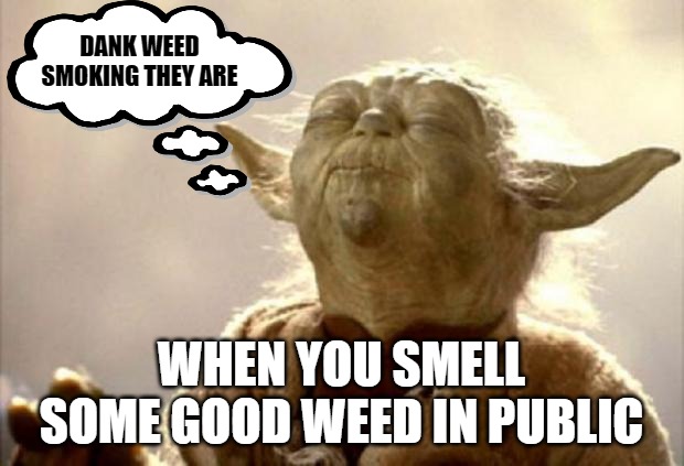 yoda smell | DANK WEED SMOKING THEY ARE; WHEN YOU SMELL SOME GOOD WEED IN PUBLIC | image tagged in yoda smell | made w/ Imgflip meme maker
