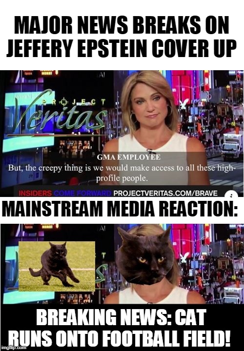 Cover Meowup | MAJOR NEWS BREAKS ON JEFFERY EPSTEIN COVER UP; MAINSTREAM MEDIA REACTION:; BREAKING NEWS: CAT RUNS ONTO FOOTBALL FIELD! | image tagged in memes,cats,jeffrey epstein,jeffrey epstein didn't kill himself,abc,fake news | made w/ Imgflip meme maker