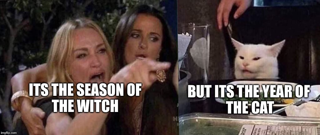 woman yelling at cat |  BUT ITS THE YEAR OF 
THE CAT; ITS THE SEASON OF 
THE WITCH | image tagged in woman yelling at cat | made w/ Imgflip meme maker