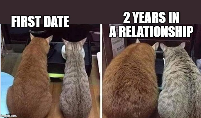 The Funny Truth | 2 YEARS IN A RELATIONSHIP; FIRST DATE | image tagged in cat,memes | made w/ Imgflip meme maker