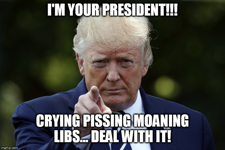 Your president! | I'M YOUR PRESIDENT!!! CRYING PISSING MOANING LIBS... DEAL WITH IT! | image tagged in trump,memes,liberal,progressive,democrat,trump 2020 | made w/ Imgflip meme maker
