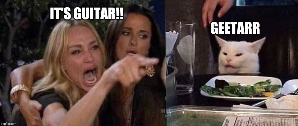 woman yelling at cat | GEETARR; IT'S GUITAR!! | image tagged in woman yelling at cat | made w/ Imgflip meme maker
