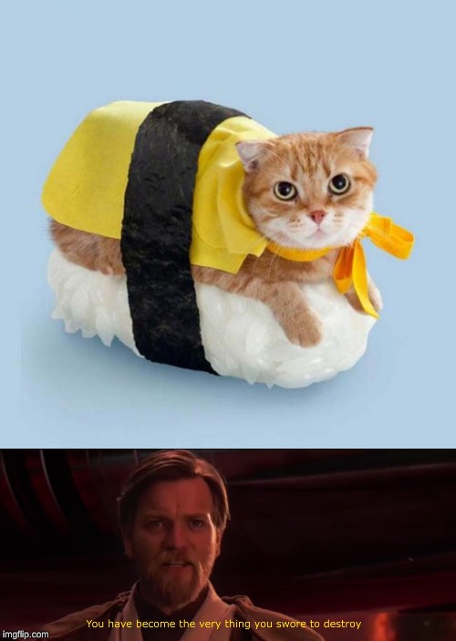 image tagged in cat sushi,you became the very thing you swore to destroy | made w/ Imgflip meme maker