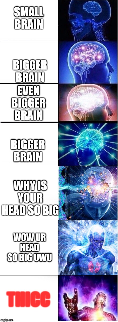 Expanding brain extended 2 | SMALL BRAIN; BIGGER BRAIN; EVEN BIGGER BRAIN; BIGGER BRAIN; WHY IS YOUR HEAD SO BIG; WOW UR HEAD SO BIG UWU; THICC | image tagged in expanding brain extended 2 | made w/ Imgflip meme maker