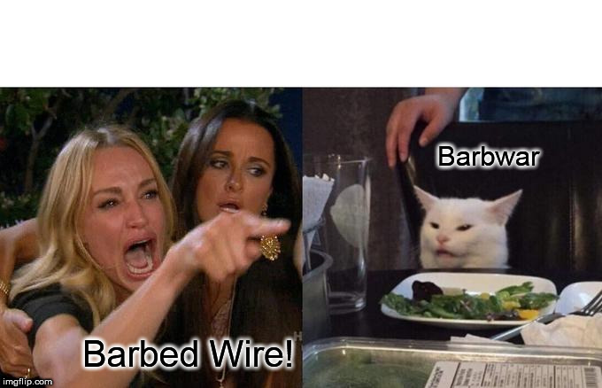 Woman Yelling At Cat Meme | Barbwar; Barbed Wire! | image tagged in memes,woman yelling at cat | made w/ Imgflip meme maker
