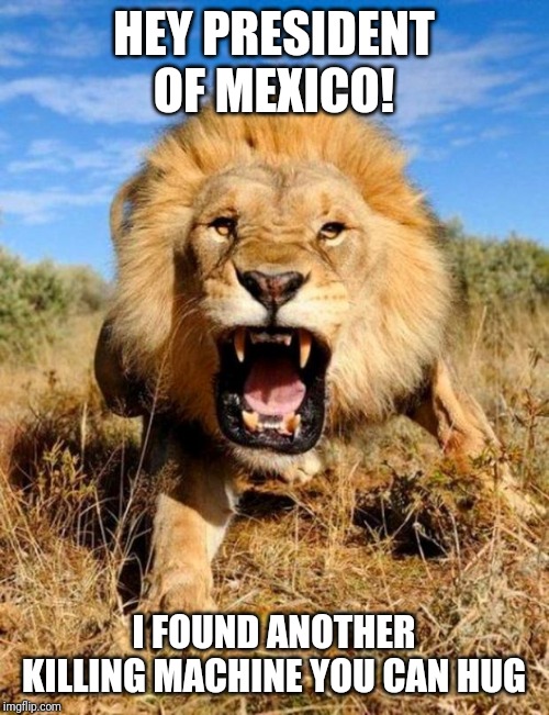 President of Mexico, prove what you say is true... | HEY PRESIDENT OF MEXICO! I FOUND ANOTHER KILLING MACHINE YOU CAN HUG | image tagged in lion | made w/ Imgflip meme maker