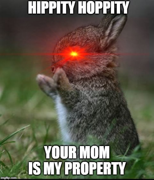 Cute Bunny | HIPPITY HOPPITY; YOUR MOM IS MY PROPERTY | image tagged in cute bunny | made w/ Imgflip meme maker