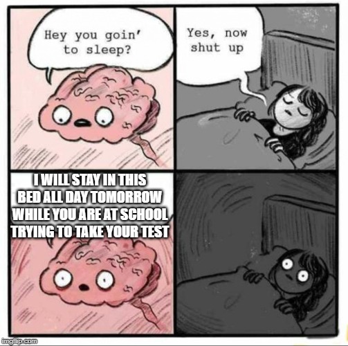 Brain Sleep Meme | I WILL STAY IN THIS BED ALL DAY TOMORROW WHILE YOU ARE AT SCHOOL TRYING TO TAKE YOUR TEST | image tagged in brain sleep meme | made w/ Imgflip meme maker