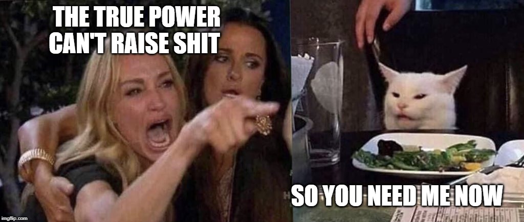 woman yelling at cat | THE TRUE POWER CAN'T RAISE SHIT; SO YOU NEED ME NOW | image tagged in woman yelling at cat | made w/ Imgflip meme maker