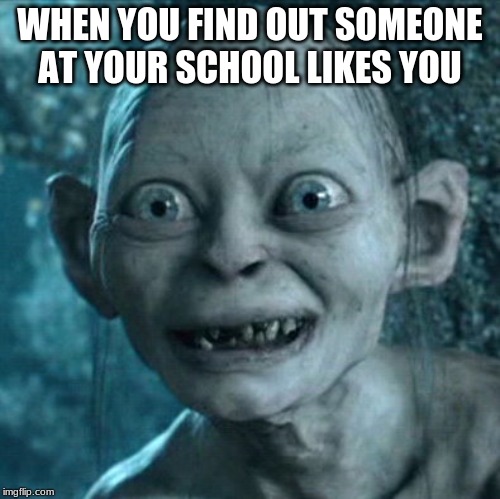 Gollum Meme | WHEN YOU FIND OUT SOMEONE AT YOUR SCHOOL LIKES YOU | image tagged in memes,gollum | made w/ Imgflip meme maker