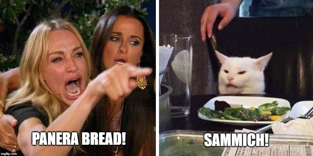 Smudge the cat | SAMMICH! PANERA BREAD! | image tagged in smudge the cat | made w/ Imgflip meme maker